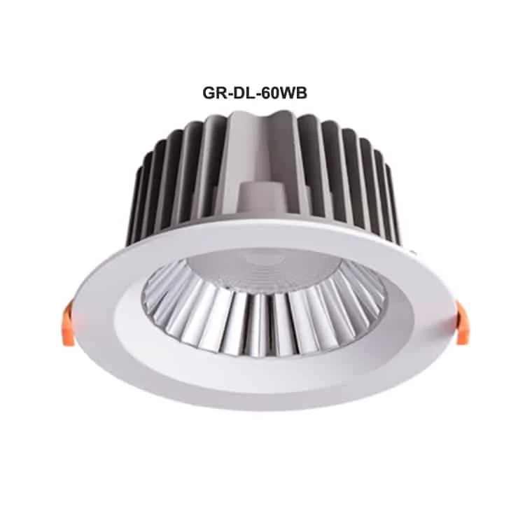 داون لايت مدمج 60W